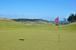 Te Arai (South) 1st Back